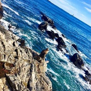 Meet your Posher, Grace